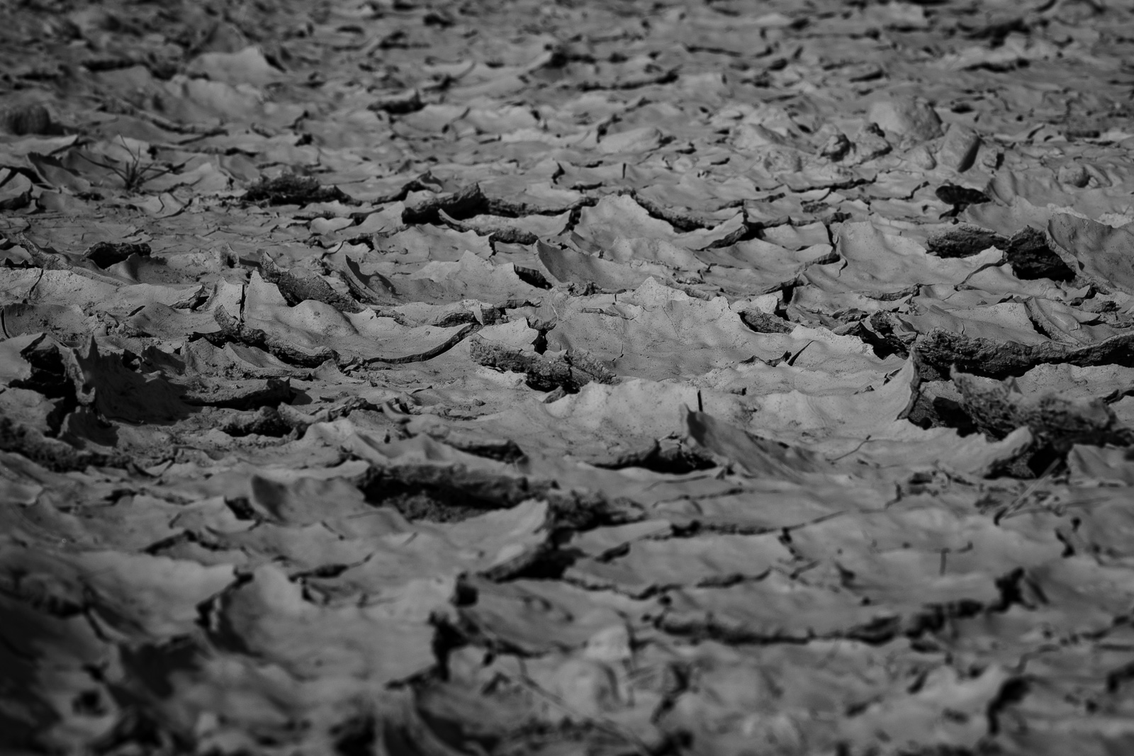 Human & Nature  outoftime 51